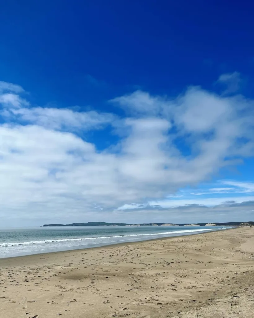 Limantour Beach (10)