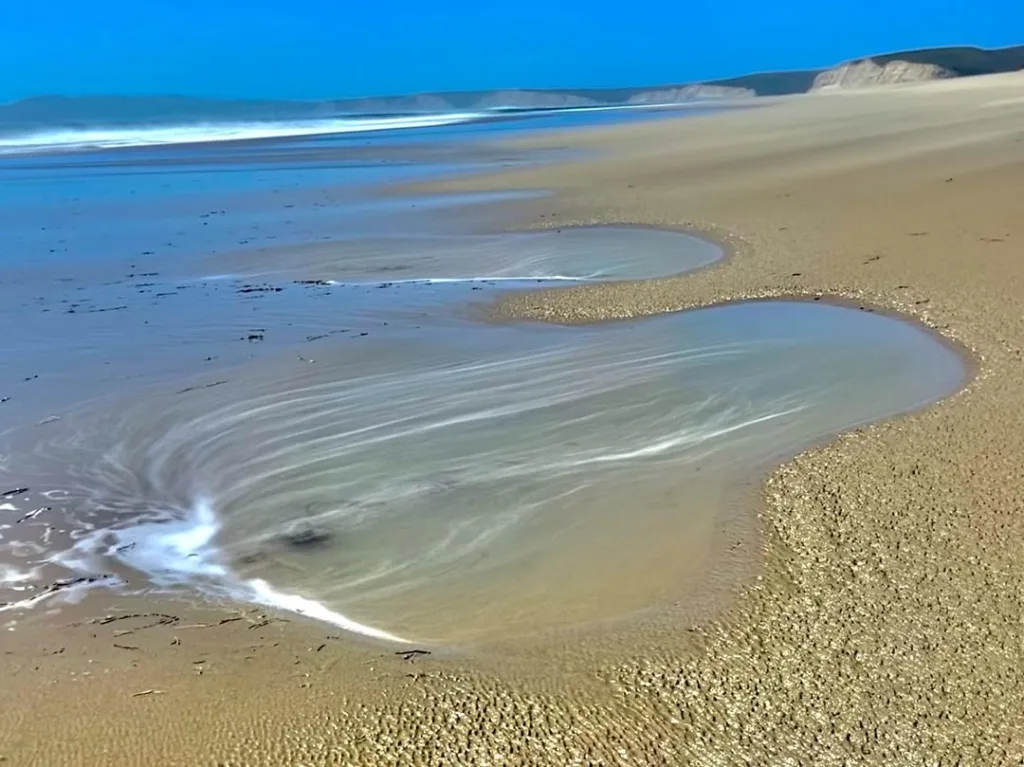 Limantour Beach (11)