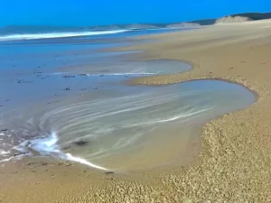 Limantour Beach (11)