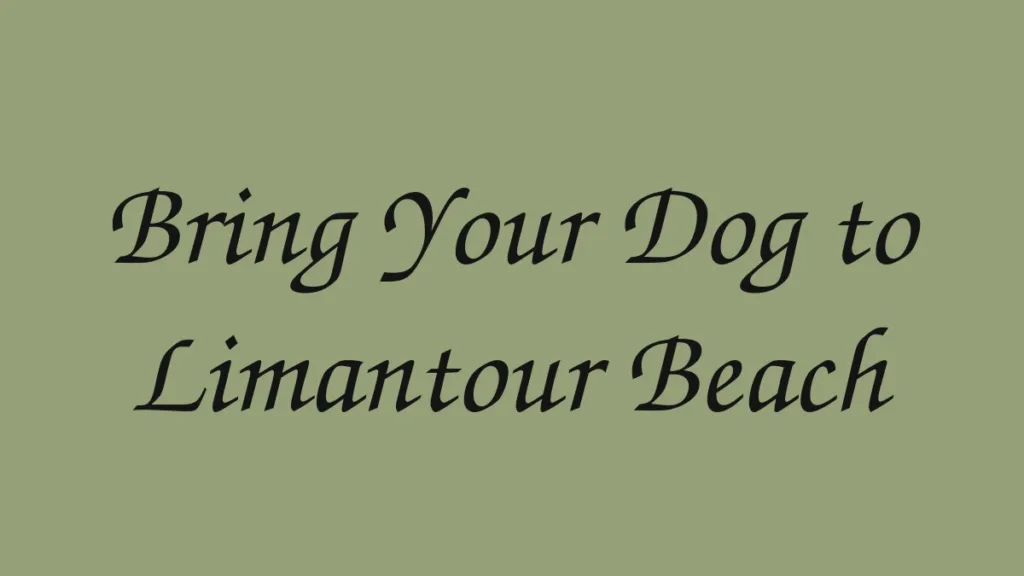 bring-your-dog-to-limantour-beach