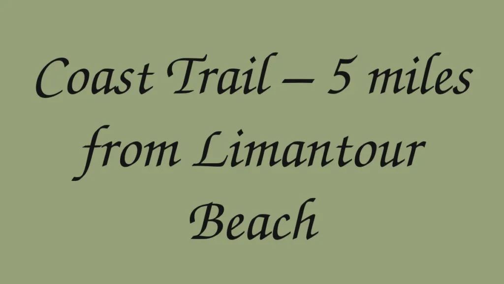coast-trail-5-miles-from-limantour-beach