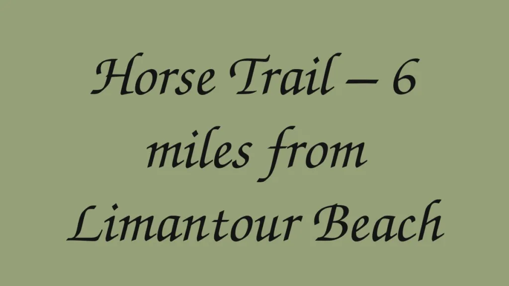 horse-trail-6-miles-from-limantour-beach