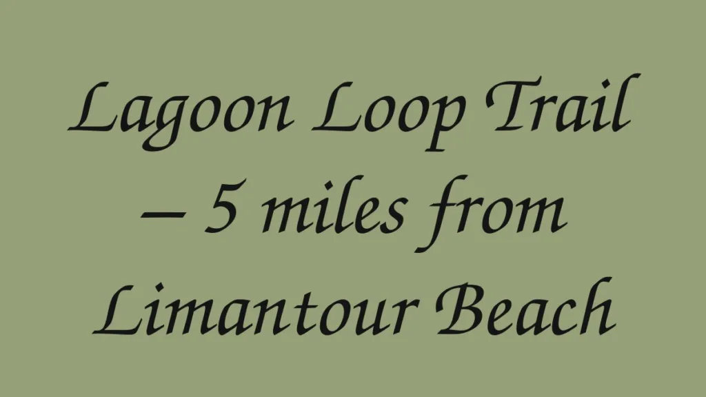 lagoon-loop-trail-5-miles-from-limantour-beach