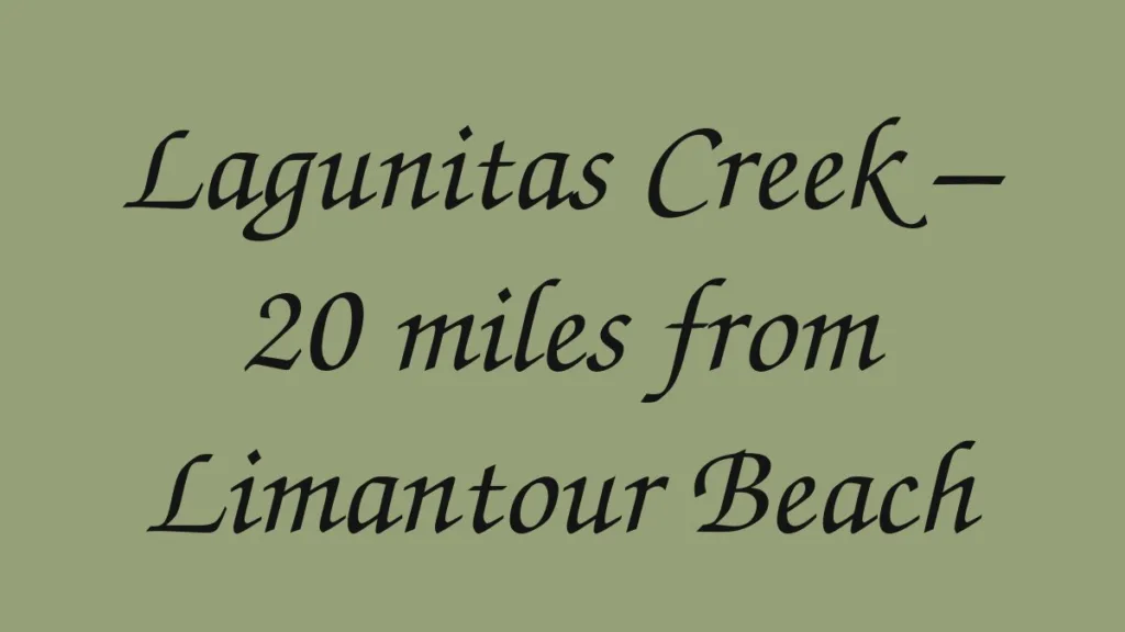 lagunitas-creek-20-miles-from-limantour-beach
