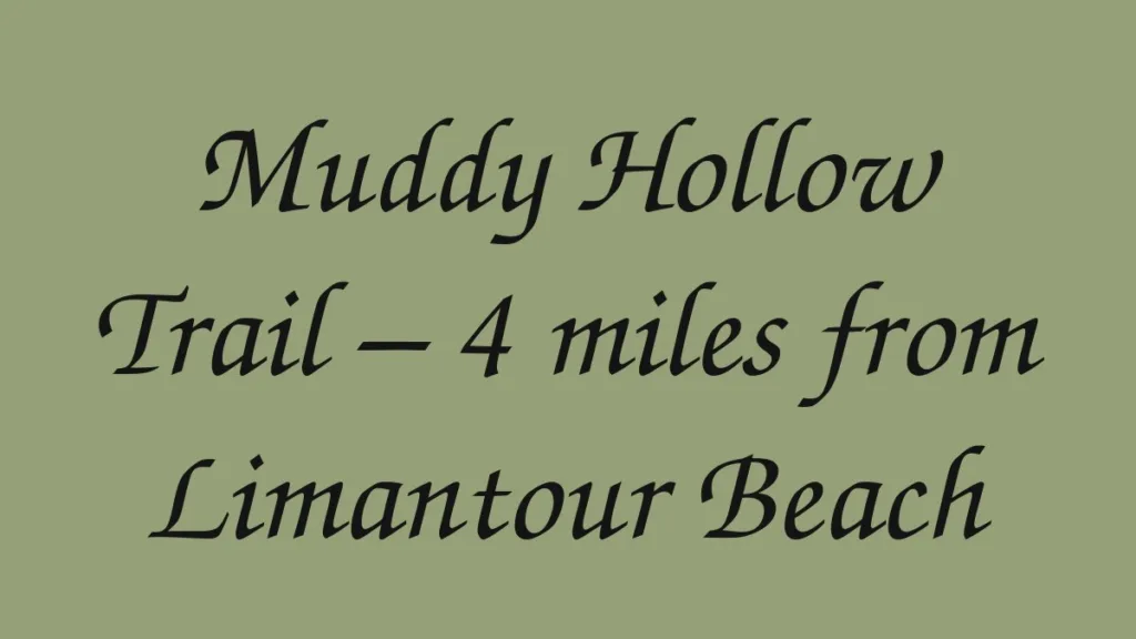 muddy-hollow-trail-4-miles-from-limantour-beach