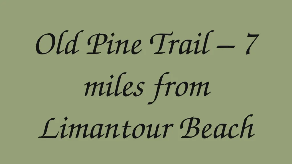 old-pine-trail-7-miles-from-limantour-beach