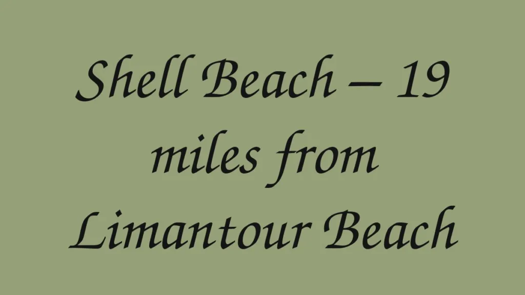 shell-beach-19-miles-from-limantour-beach