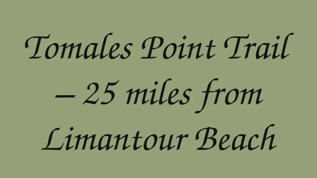 tomales-point-trail-25-miles-from-limantour-beach