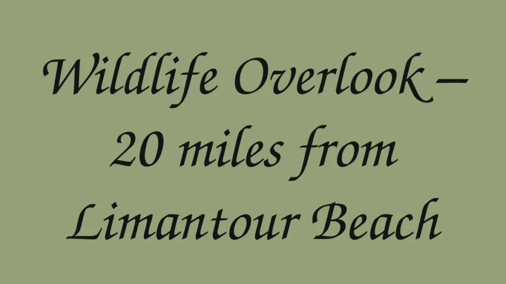 wildlife-overlook-20-miles-from-limantour-beach
