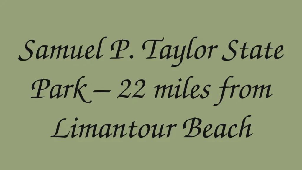 samuel-p-taylor-state-park-22-miles-from-limantour-beach