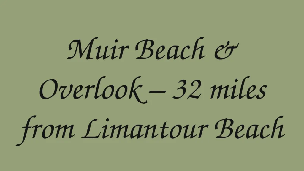 muir-beach-overlook-32-miles-from-limantour-beach