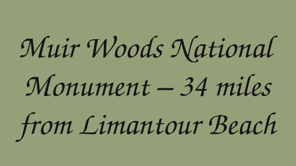 muir-woods-national-monument-34-miles-from-limantour-beach