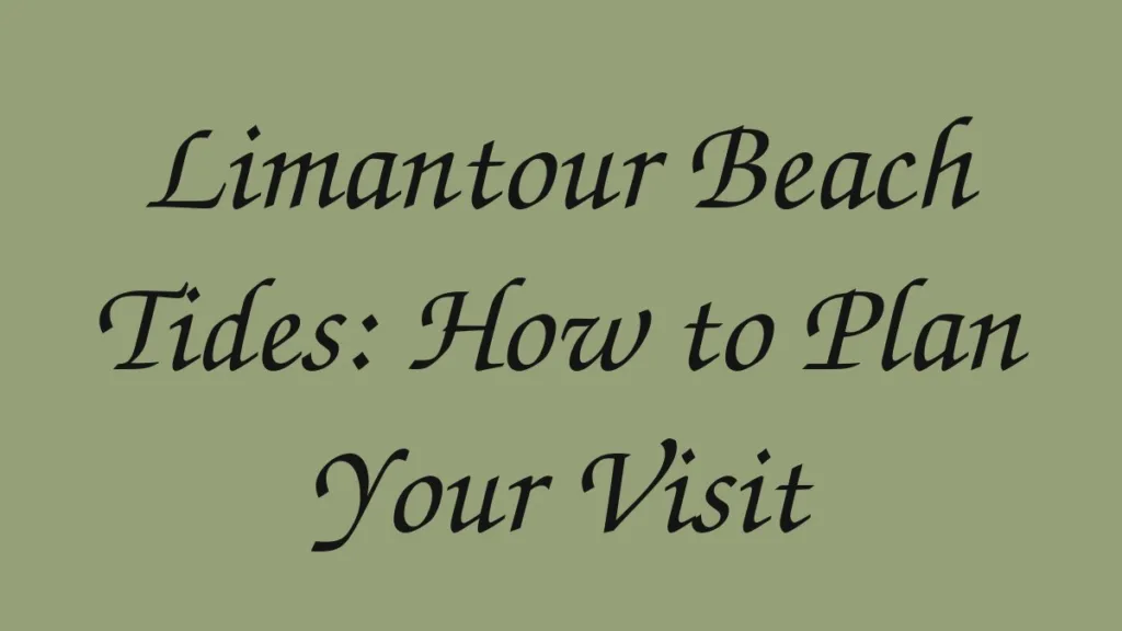 limantour-beach-tides-how-to-plan-your-visit