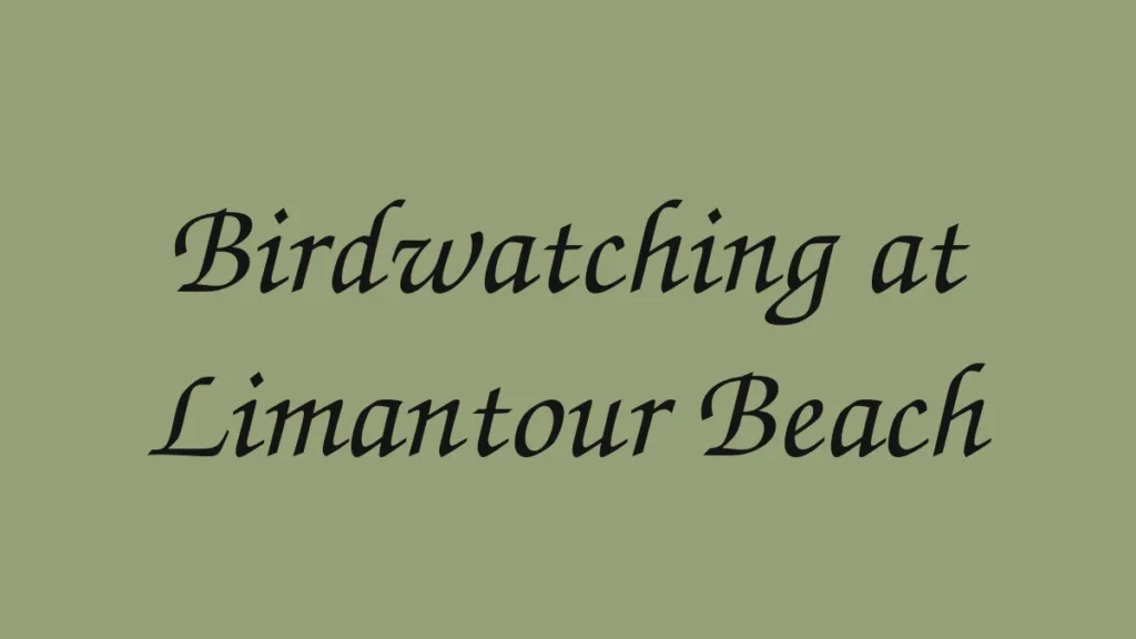 birdwatching-at-limantour-beach