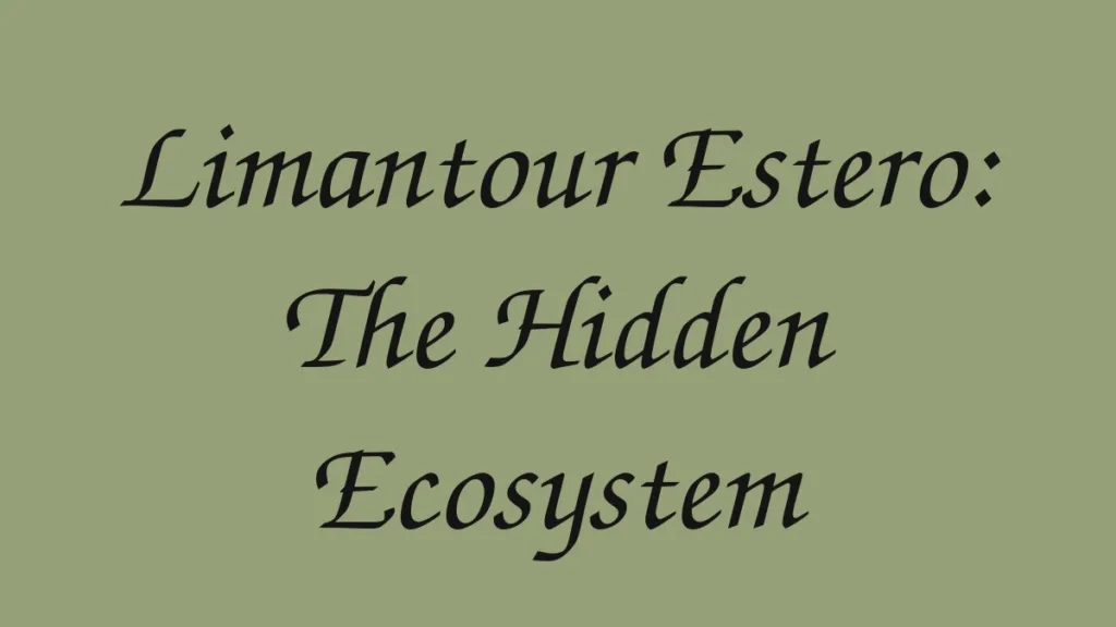 limantour-estero-the-hidden-ecosystem