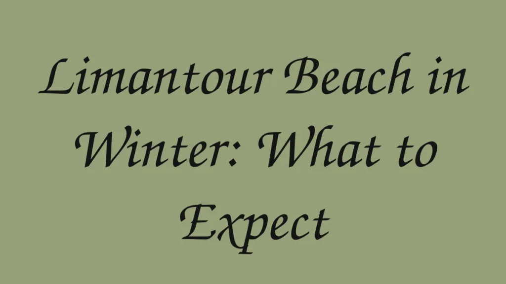 limantour-beach-in-winter-what-to-expect