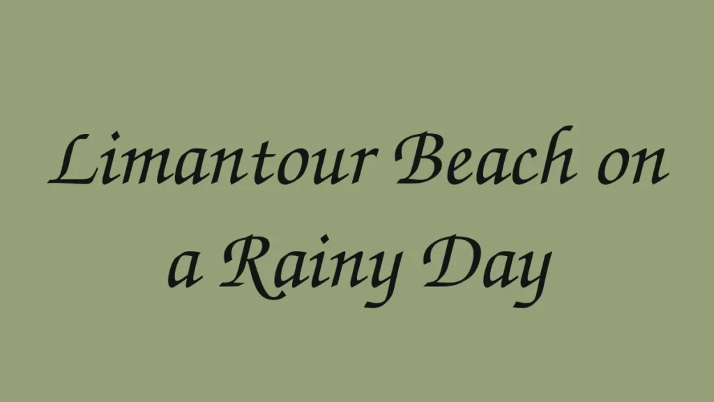 limantour-beach-on-a-rainy-day
