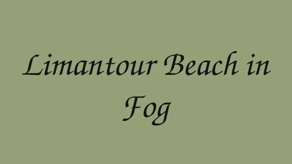 limantour-beach-in-fog